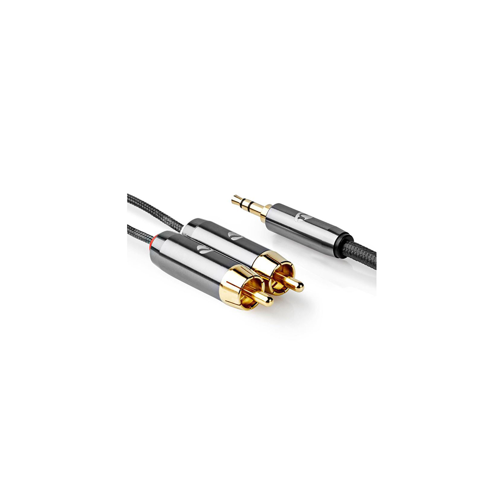 E3871 - De Mini Jack à Phono