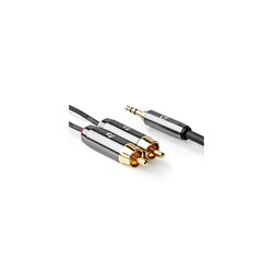 E3871 - De Mini Jack à Phono