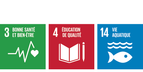 Le processus de développement du produit a été guidé par trois des objectifs de développement durable de l’ONU : les objectifs 3, 4 et 14.