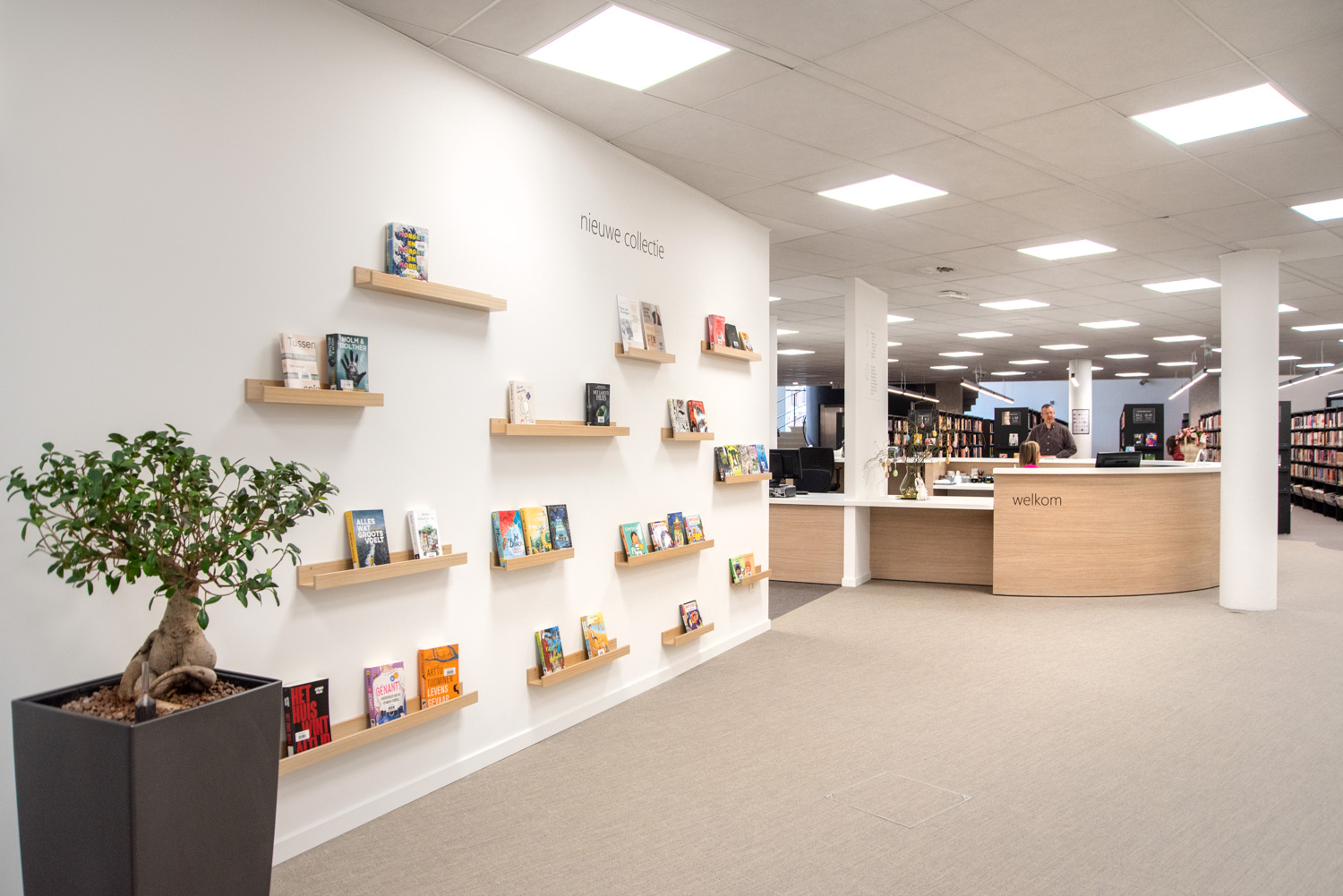 Tablette de présentation Woody