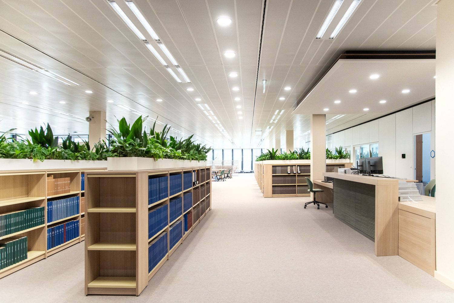 Verdure et vue sur la nature